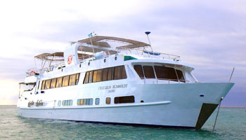 Galapagos Cruises