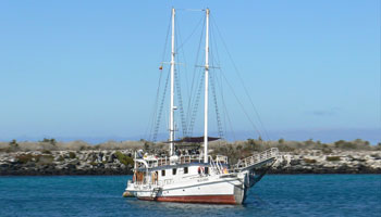 Galapagos Cruises